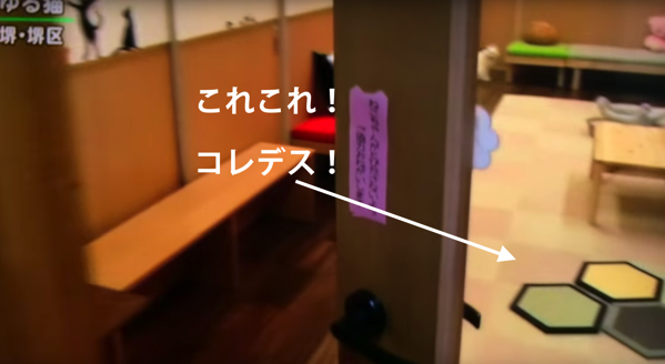 猫専門置き畳【コット】.png 猫専門置き畳 コット