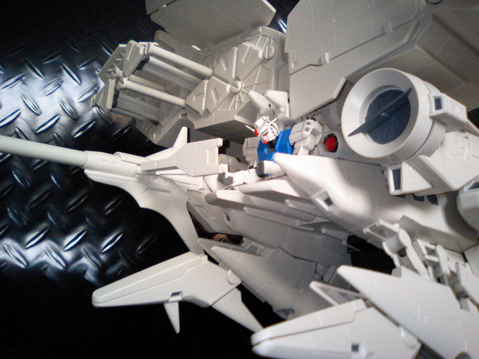 MS IN ACTION!! デンドロビウム