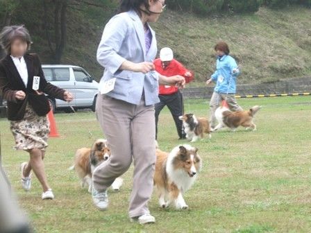 111103miyagiiwate 184