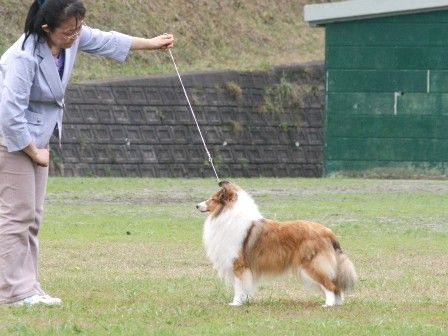 111103miyagiiwate 211