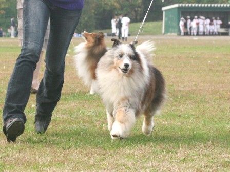 111103miyagiiwate 305