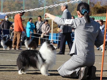 milky111211tokubetuIMG_3999 (2)