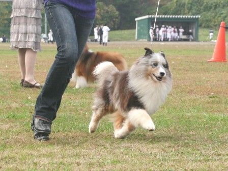 111103miyagiiwate 306