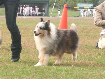 111103miyagiiwate 304