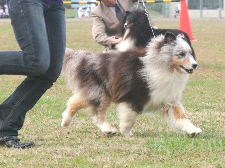 111103miyagiiwate 307