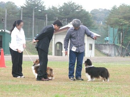 111103miyagiiwate 140