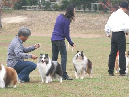 111103miyagiiwate 226