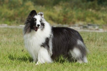 milky110918yamagataakitam02x