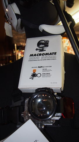 Goproでマクロ撮影にはマクロメイト ダイビングスクールmic21横浜本店は神奈川県下最大のダイビングショップです Mic21横浜本店スタッフ日記 Goproでマクロ撮影にはマクロメイト ダイビングスクールmic21横浜本店は神奈川県下最大のダイビングショップです Mic21横浜本店スタッフ日記