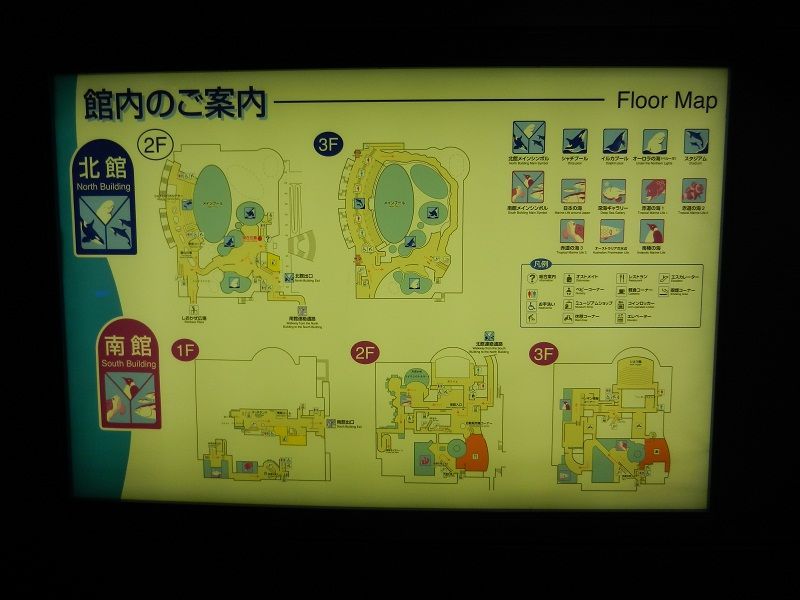 名古屋港水族館1 Write Byみっくん M Mのどたばた日記