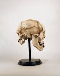 ����������� (22)