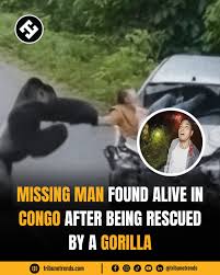 ����������� (17)