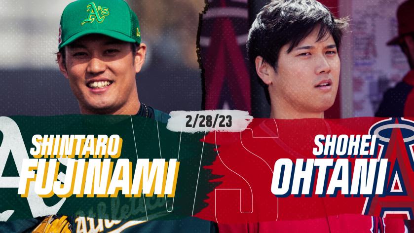 FujinamiOhtani