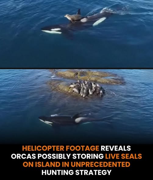 640324208_122156961542711201_746965513333797144_n