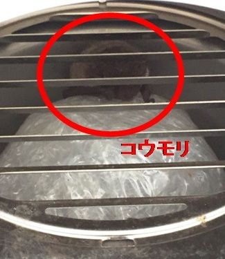 コウモリ対策 24時間換気フードにdiyで網を付ける みっちゃんのブログ コウモリ対策 24時間換気フードにdiyで網を付ける みっちゃんのブログ
