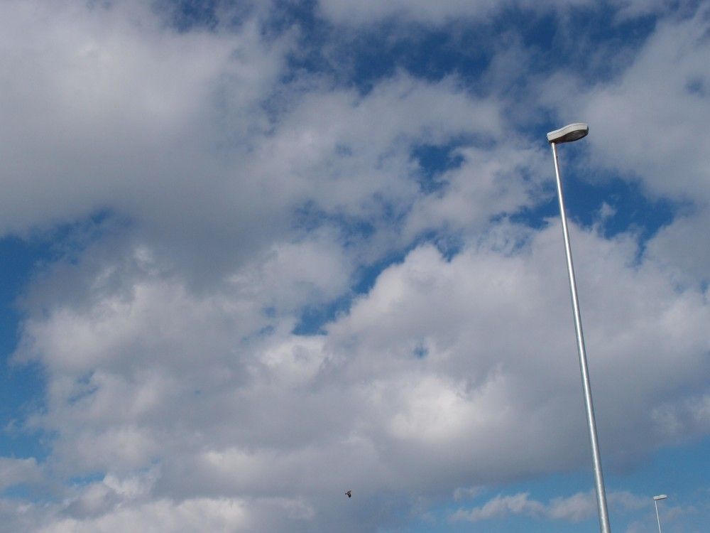 アナーキー イン ザ 1k みっちのねごと