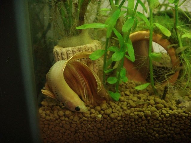 2か月 広く深く