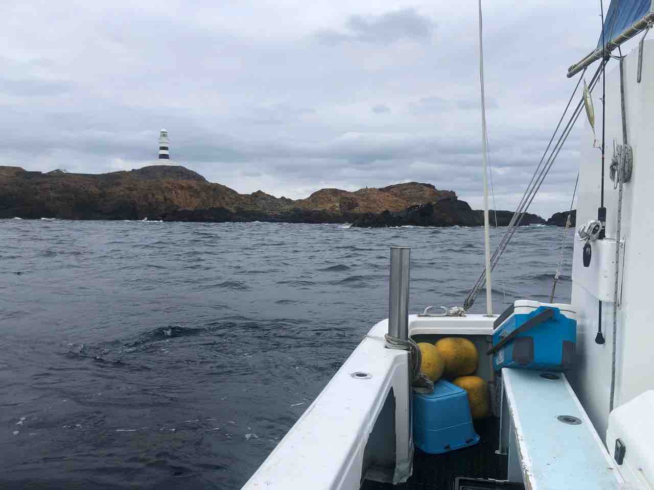 神子元島 伊豆中深海 神子元島ジギング 青物ハンターみっちゃんの釣りblog