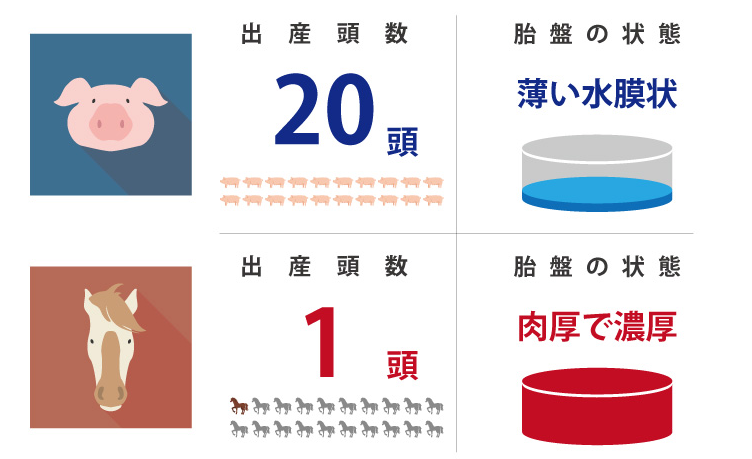 口コミ 朝起きれない の対策にも 濃厚馬プラセンタのプラセンタファイン を 買ったら 口コミ 朝起きれない の対策にも 濃厚馬プラセンタのプラセンタファイン を 買ったら