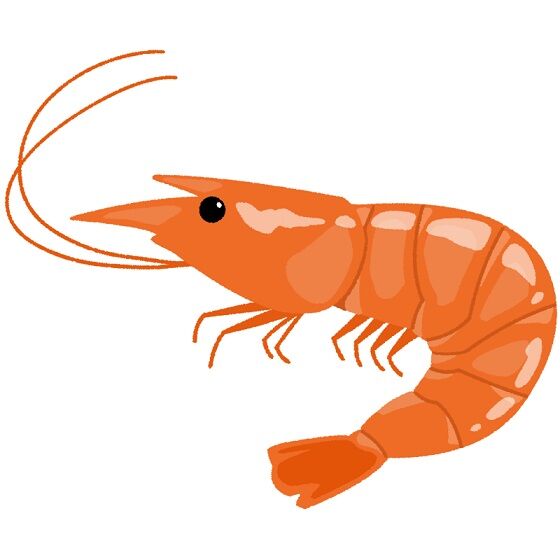 【動画】海老を生で食いまくった女さん、手にブツブツができる