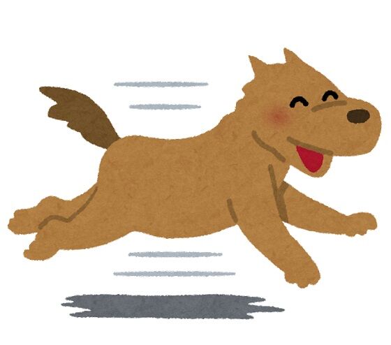 【動画】性欲が強すぎる犬、いつでもどこでも種付け行為をしてしまう