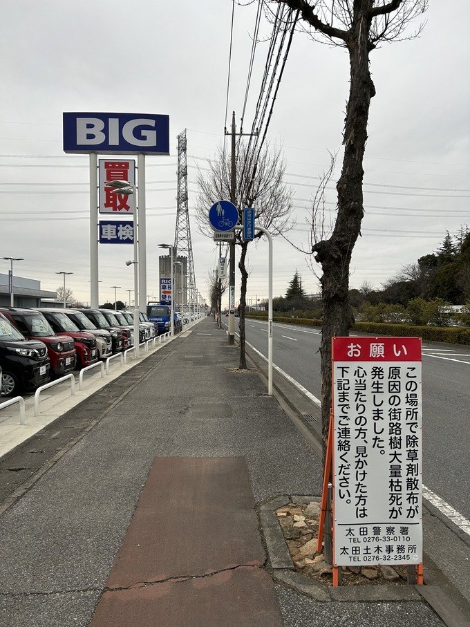 【動画】ビッグモーター社長、街路樹を枯れさせたことを認めかけて弁護士に口止めされる