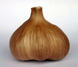 kasiwa25