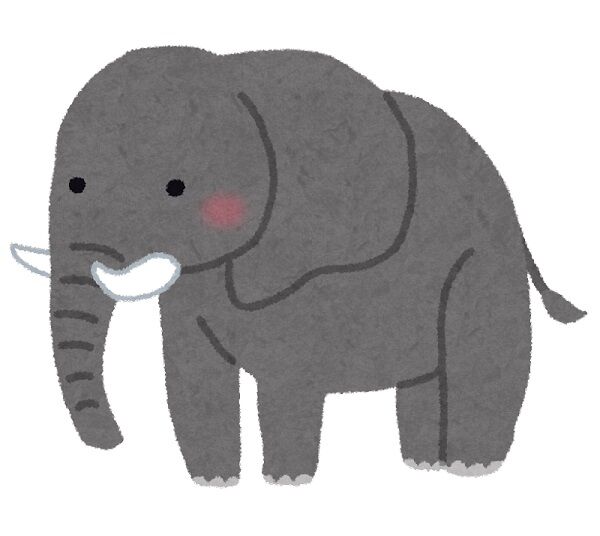 【動画】ドスケベ象さん、発見される