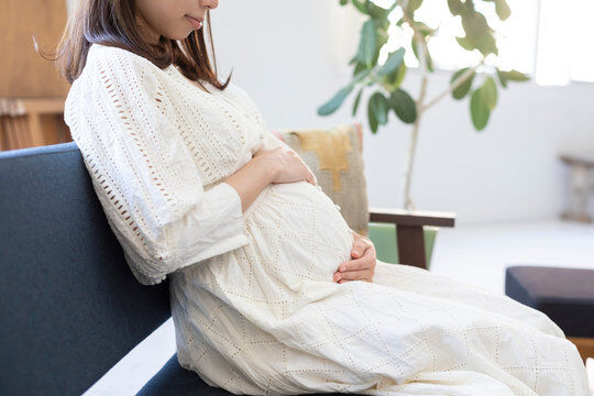 【画像】ベネッセのHPの妊婦のお腹の断面図、ドスケベすぎて草