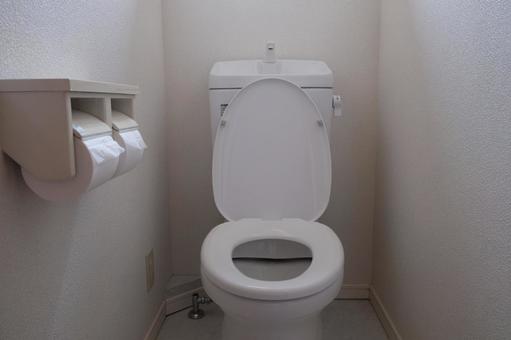 トイレの流し忘れウンコに高確率でペーパーが添えられて無い謎