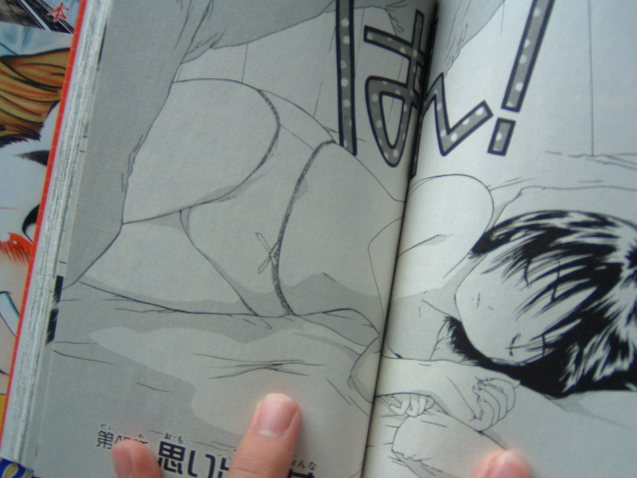 Ä郎¤¤¤Á¤´100¡ó¤ò¤³¤Ã¤½¤ê½¸¤á¤Æ¤ë¤Î¤À¤¬