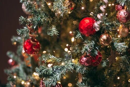 【悲報】令和最新のクリスマスケーキ、限界突破