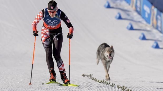 ミラノ五輪クロスカントリーに犬が乱入！！堂々ゴールする