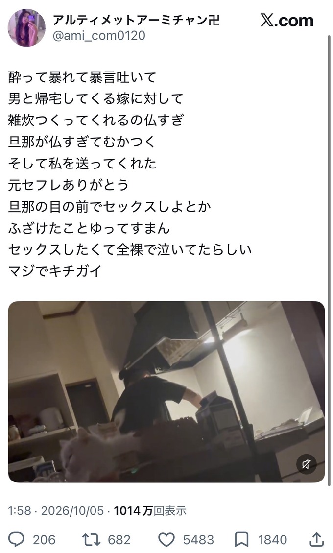 rikai2