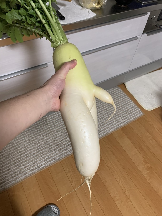 daikon2