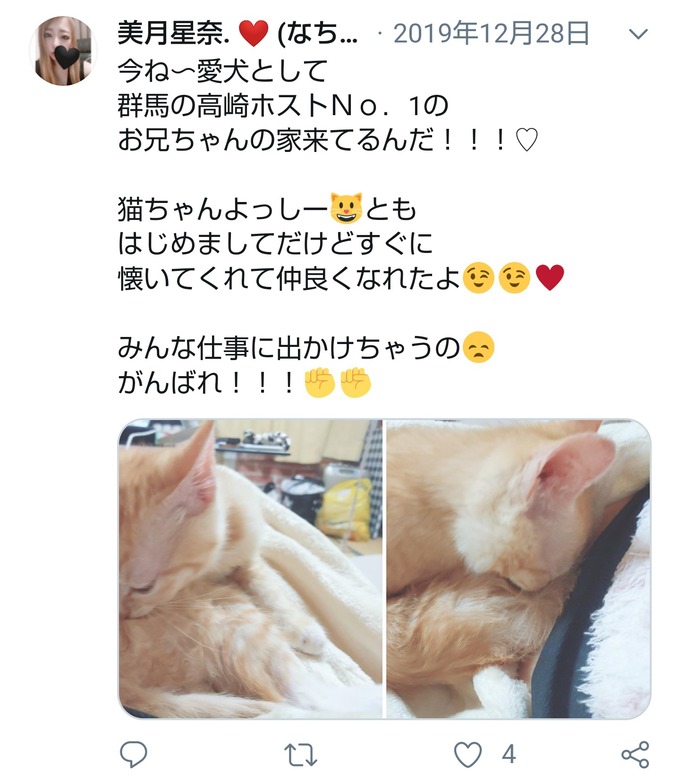 inu18