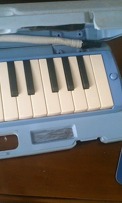 �����ԡ�����������������