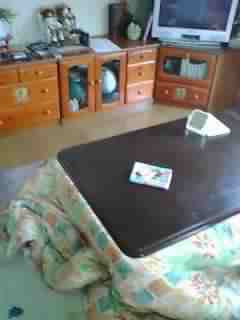 Ä郎¤¤¤Á¤´100¡ó¤ò¤³¤Ã¤½¤ê½¸¤á¤Æ¤ë¤Î¤À¤¬