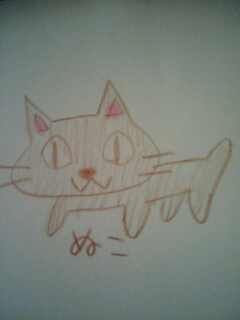 �����ԡ�����������������