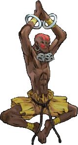 �ץꥭ�奢�ϥ��륷��Υѥ���