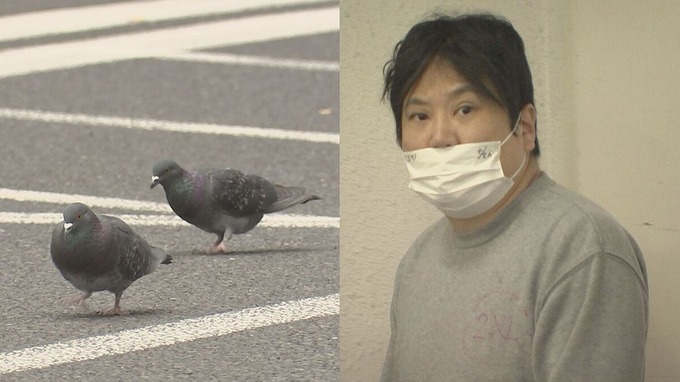 hato3