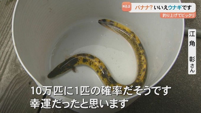 banana