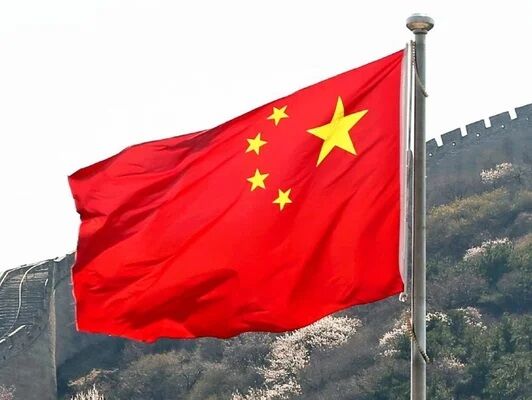 【動画】中国人さん、救命という概念がない