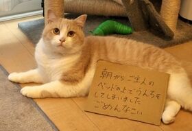okazu2