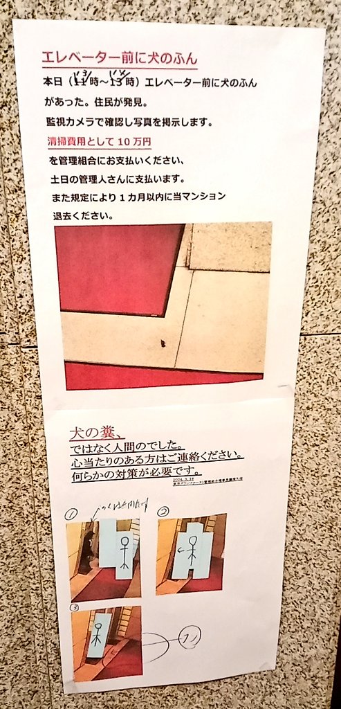 【悲報】江戸川区の最高級タワマン、民度が低すぎて犬のフンがｗｗｗｗｗｗ