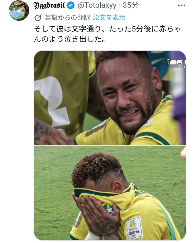 bra8