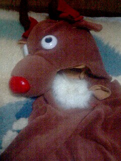 �ȥʥ��������Ƥ������ꥢ��ǡ�