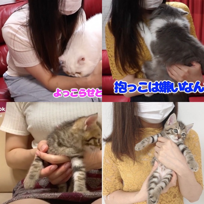 neko7