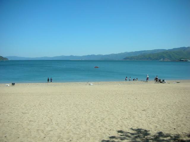 uncosea2