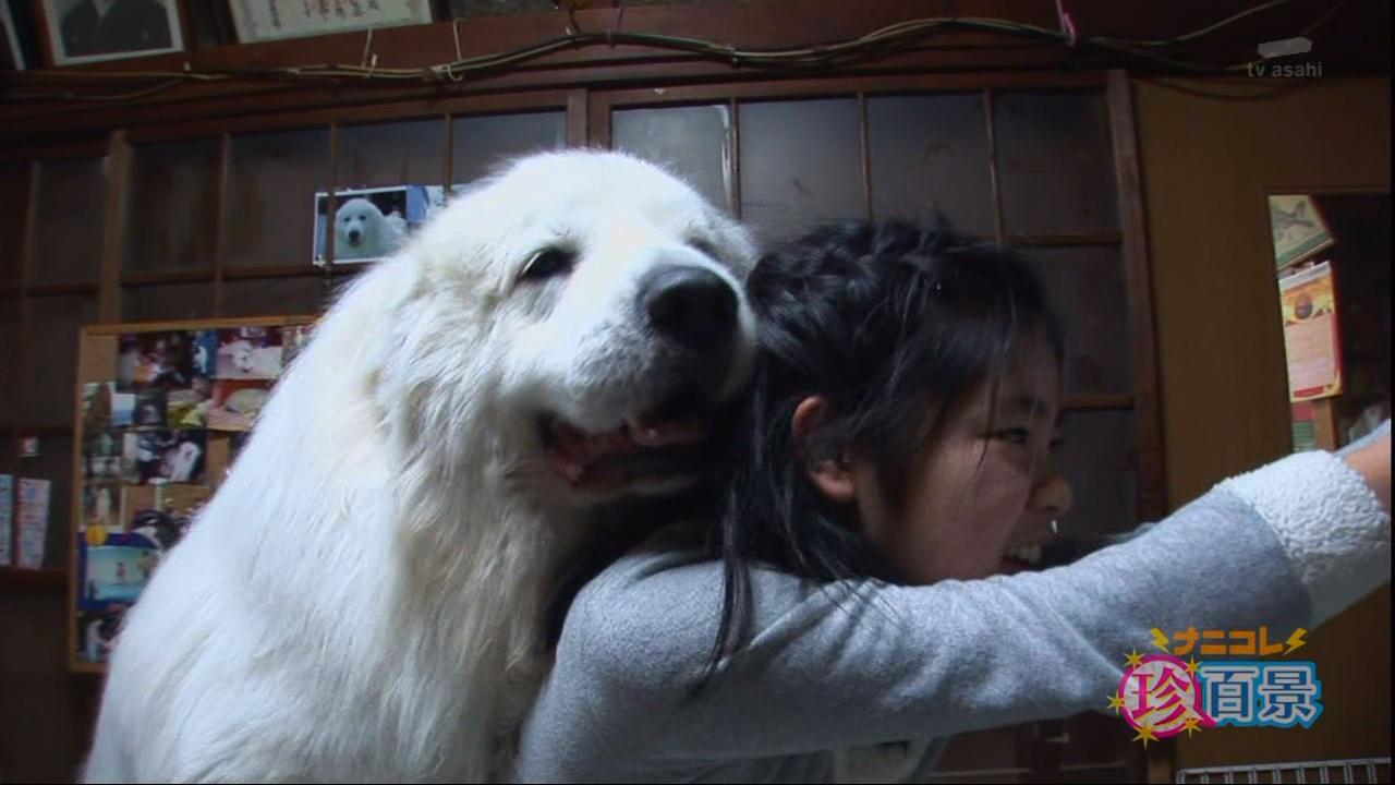 Dog Knots Woman